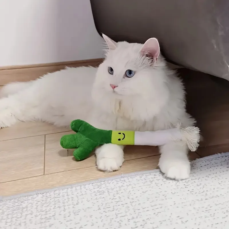 Funny Plush Dog Chew Toys Bite-Resistance Small Large Dogs Squeak Sound Toy Teeth Cleaning Puppy 1005010029165824