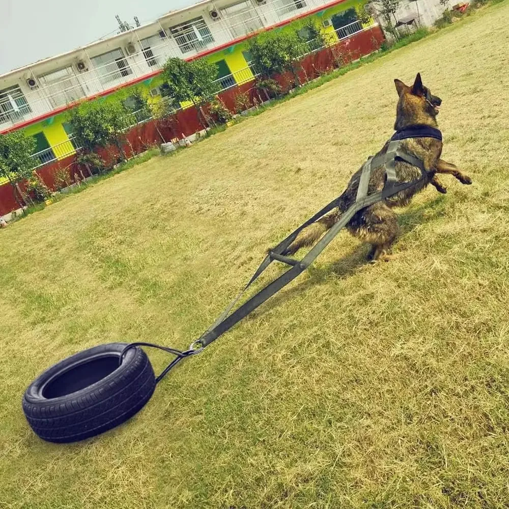 Large Working Dog Pull Training Leash Sled Safety Belt for Behavior Training Durable Dog Leash 1005010039218176