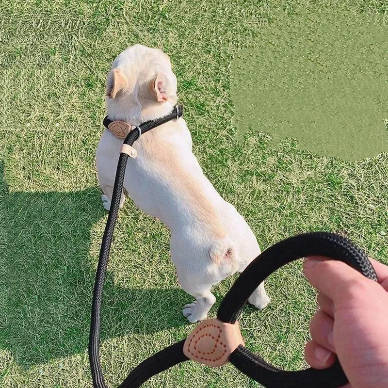 Dog Leash Slip Rope Lead Leash Heavy Duty Braided Rope Adjustable Loop Collar Training Leashes 1005010058019013