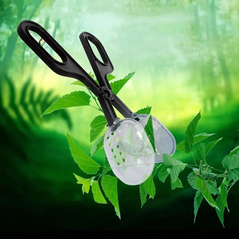 New Scissor Type Reptile Clip Insect Breadbug Feeding Clip for Feeding Reptiles Insect Biology 1005010064398783