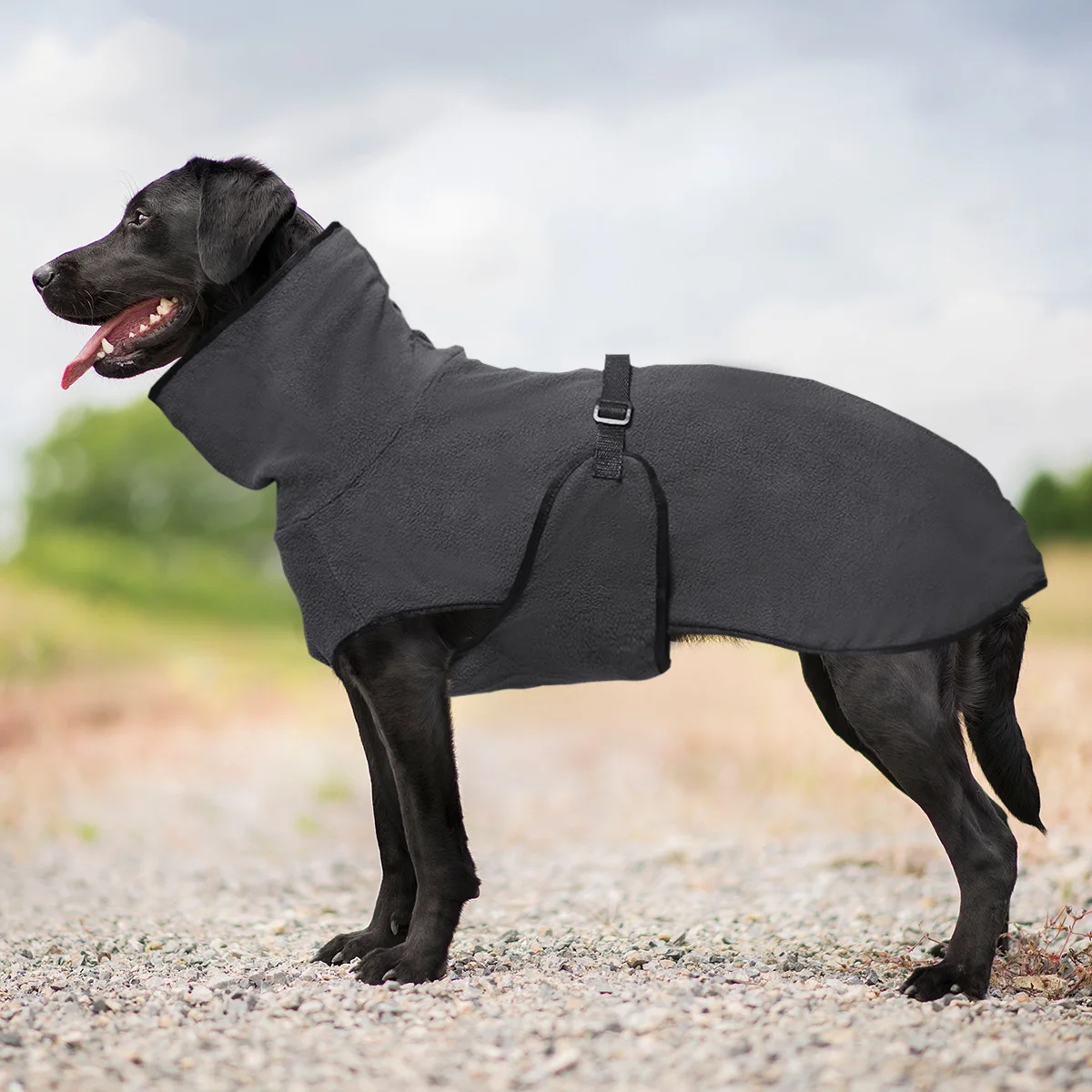 Winter Pet Dog Clothes Warm Big Dog Coat Puppy Clothing Pet Vest Jacket for Small Medium Large Dogs 1005010092752779