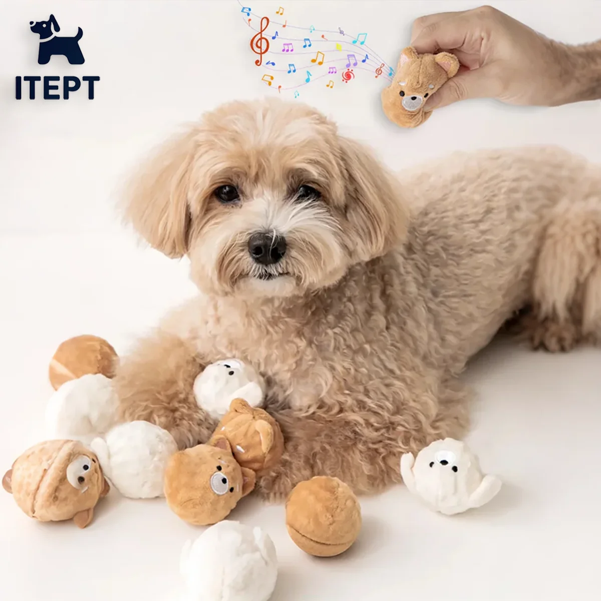 Squeaky Puppy Ball Toy, Spiked Bouncing Chew for Teeth Cleaning 1005010155238710