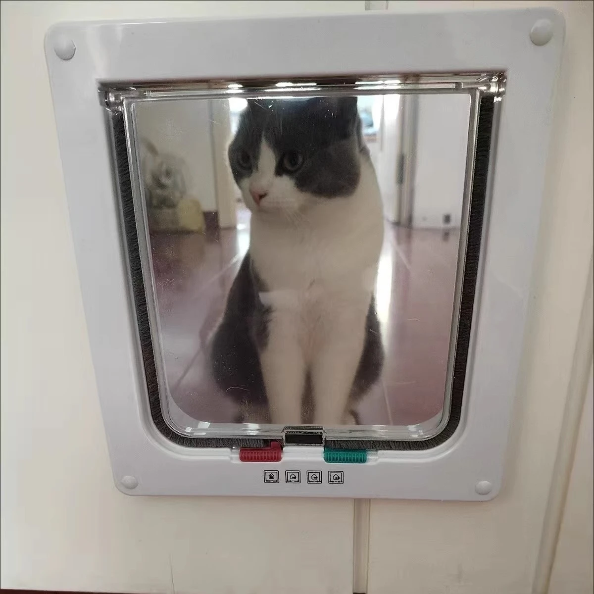 Cat Dog Door Flap Extra with 4 Way Locking Security Weatherproof Pet Kit for Kitten Puppy Safety 1005010161302764