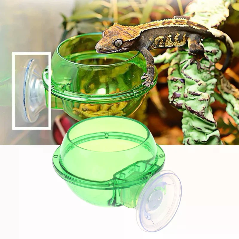 Arboreal Reptile Live Anti-Escape Sucker Feeder Bowl Insect Worm Food Container for Lizard Gecko 1005010170196047