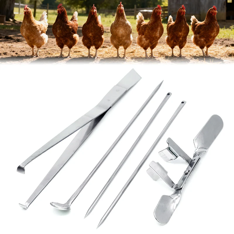 Stainless Steel Chicken Castration Tools Professional Large Chicken Baby Chick Fast Castration (1set) 1005010201943047
