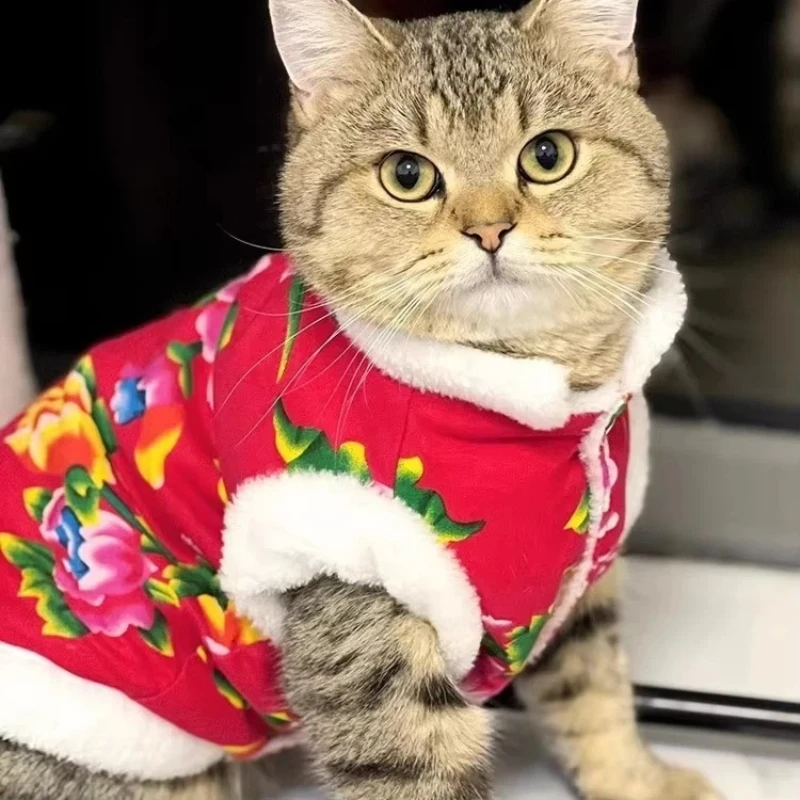Cat Clothes Fleece Lined Warm Thick Cotton Padded Coat Autumn and Winter Style Ragdoll Blue Cat 1005010253845375