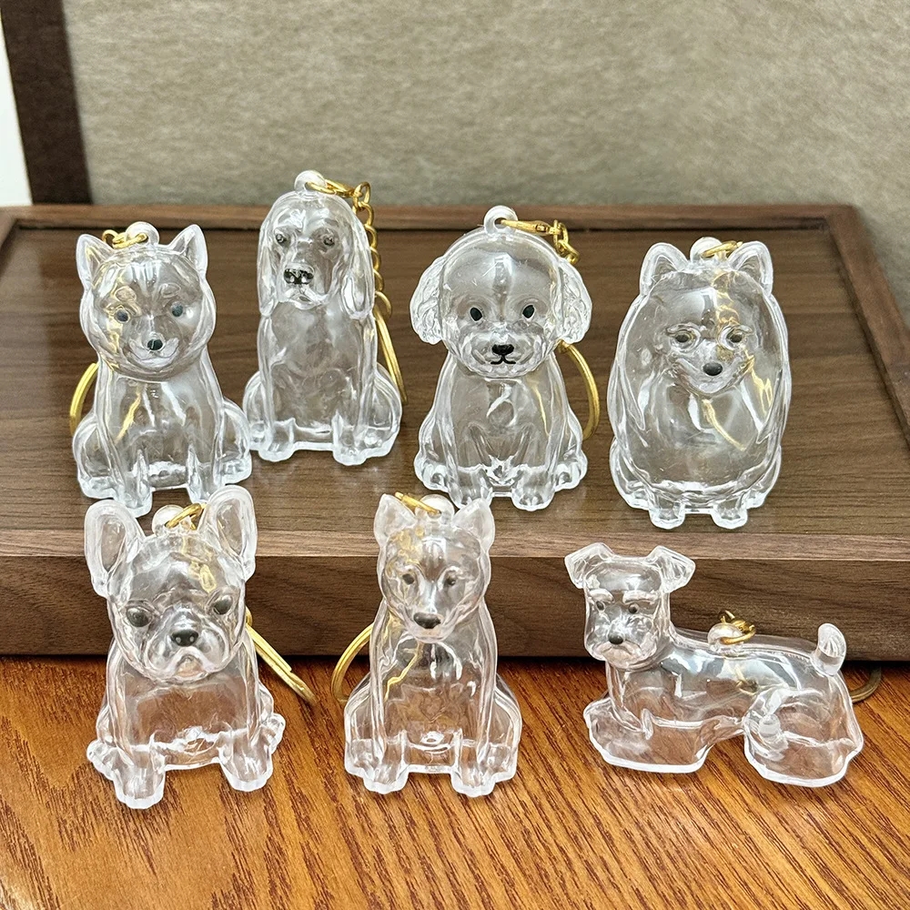 Dog Hair Storage Box Playful Memory Keychain Cute Dustproof Transparent Capsule Pendant 1005010278386127