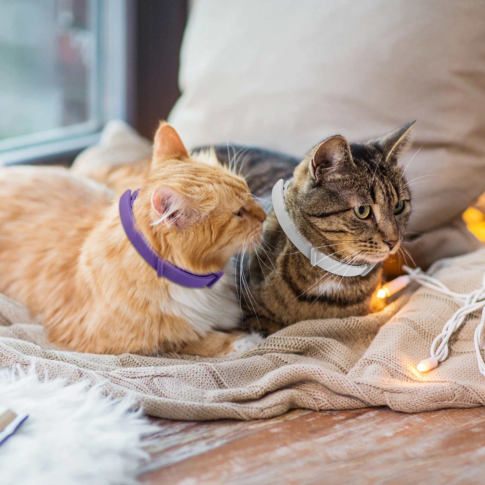 Cat Calming Collar Cat Pheromone Collar Adjustable Calming Anti-Anxiety (4Pcs) 1005010280353658
