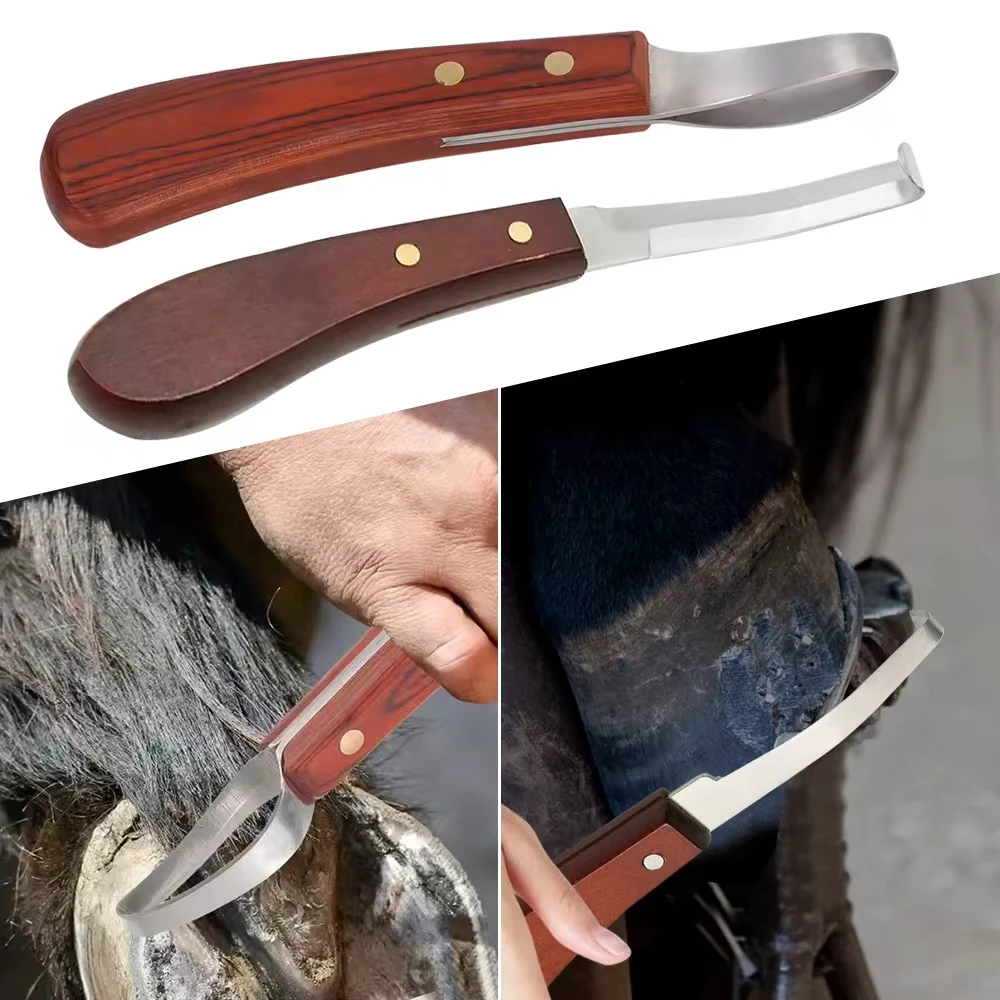 Horseshoe Knife with Wooden Handle Stainless Steel Double-Edged & Ring-Shaped Blades Cattle (2 Pcs) 1005010286910040