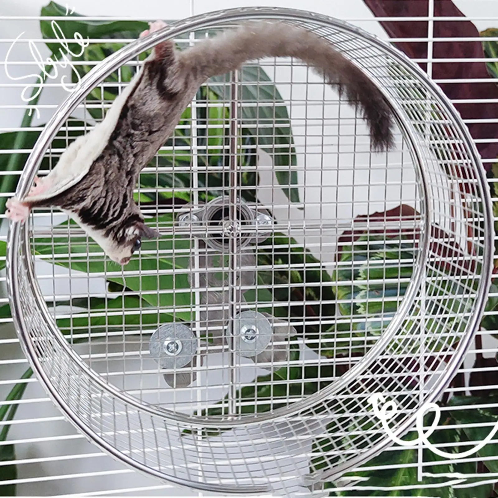 Hamster Exercise Wheel Guinea Pig Jogging Wheel Pets Supplies Fun to Play 1005010309035042