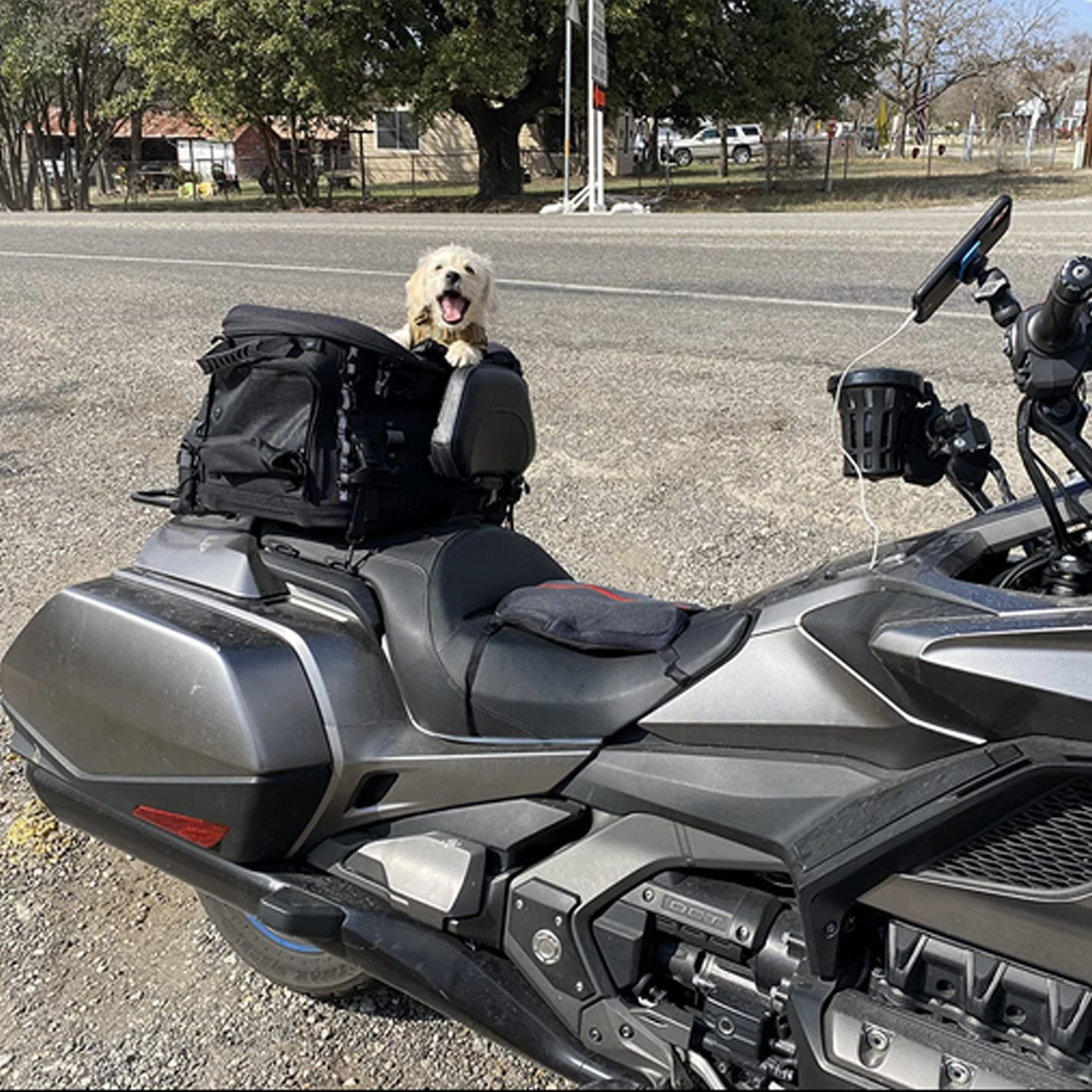 Universal Motorcycle Dog Cat Pet Carrier Travelling Passenger Seat Luggage Rack for Touring Trike 1005010384747448