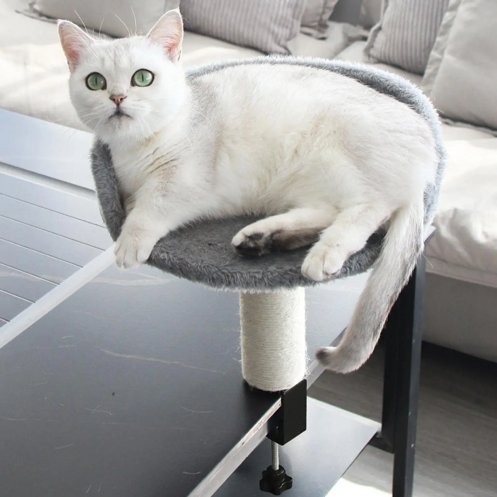 Cat Hammock Perch Desk Clamp Cat Bed with Soft Pad Removable Pet Nest Attachment for Office & Home 1005010414260828