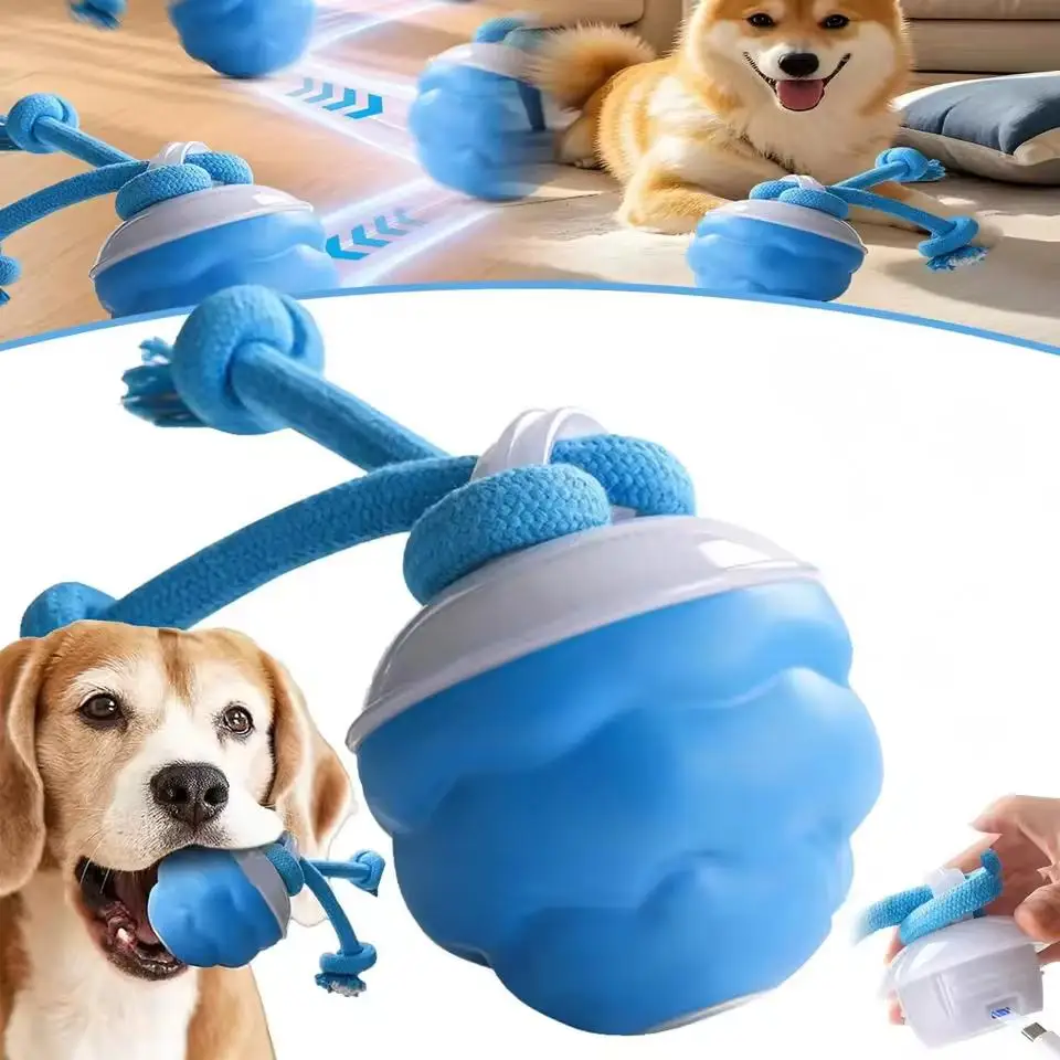 Interactive Dog Toys for Boredom Motion Activated Ball Small/Medium/Large Dogs USB Rechargeable Toy 1005010468470766