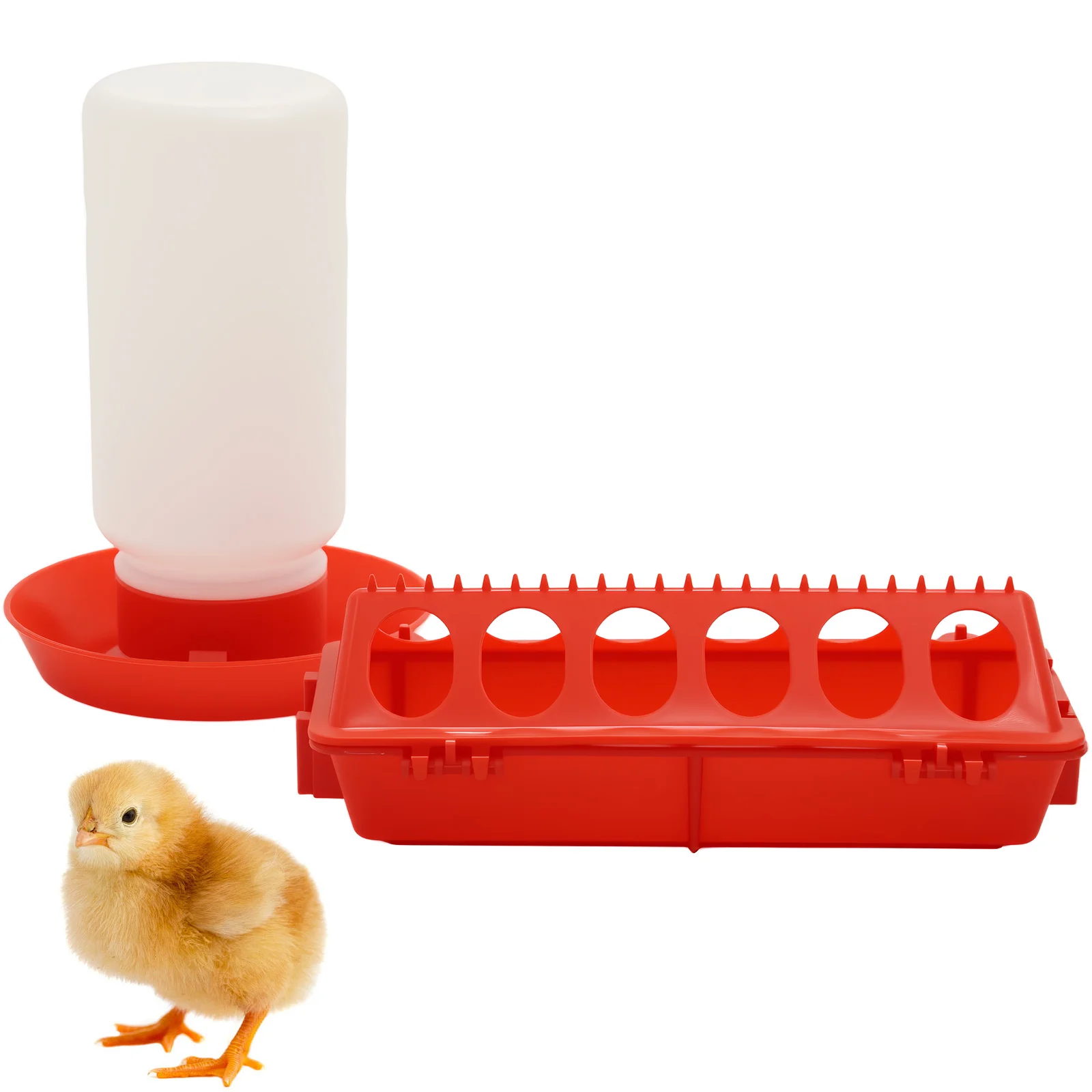Chicken Feeder Automatic Water Feeder for Chicks Quails Chicks Feed Box Automatic Feeder Small 1005010477140864