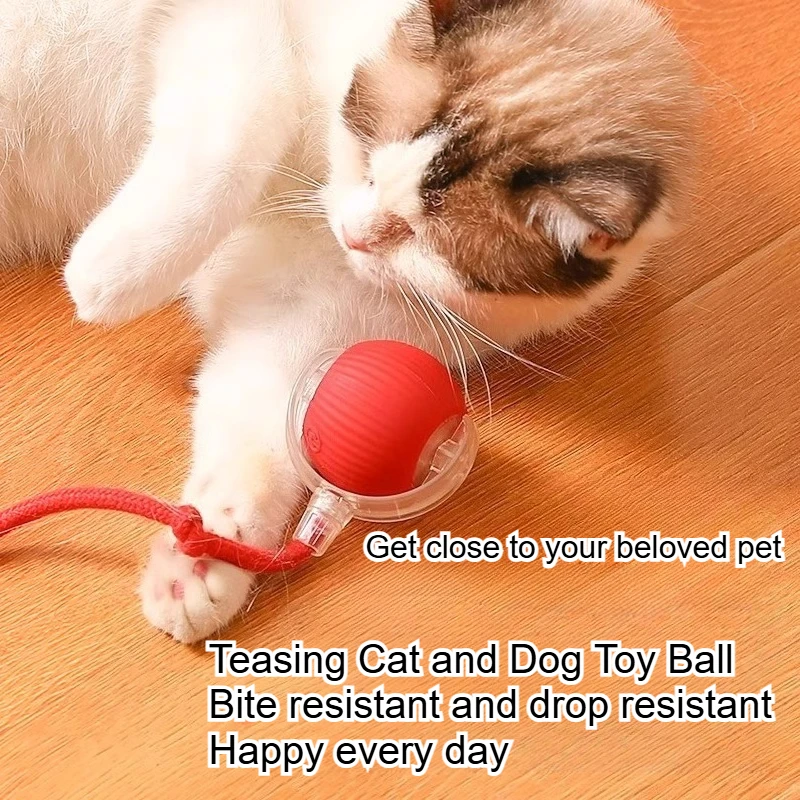 Durable Pet Toys for Dogs and Cats 1005010520595179
