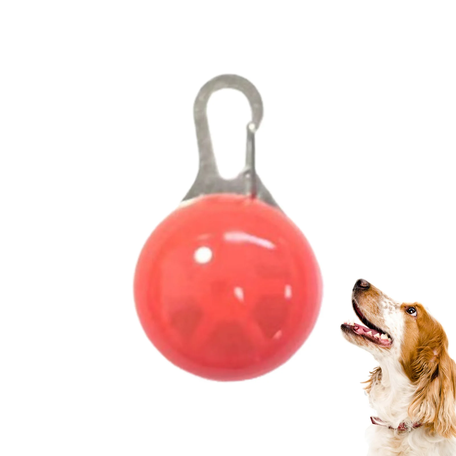 Pet Night-Luminous Pendant Night Walking Dog Cat Collars Use Led Safety Light Suitable Bright 1005010536820884
