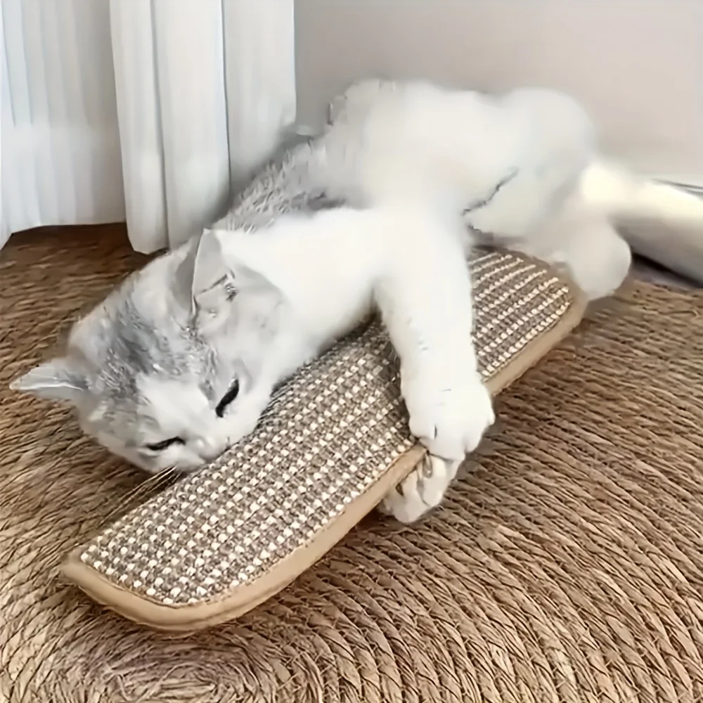 Cat Toy Game Pillow and Cat Scratching Pad for Solo Play and Intimate Interaction 1005010550963514