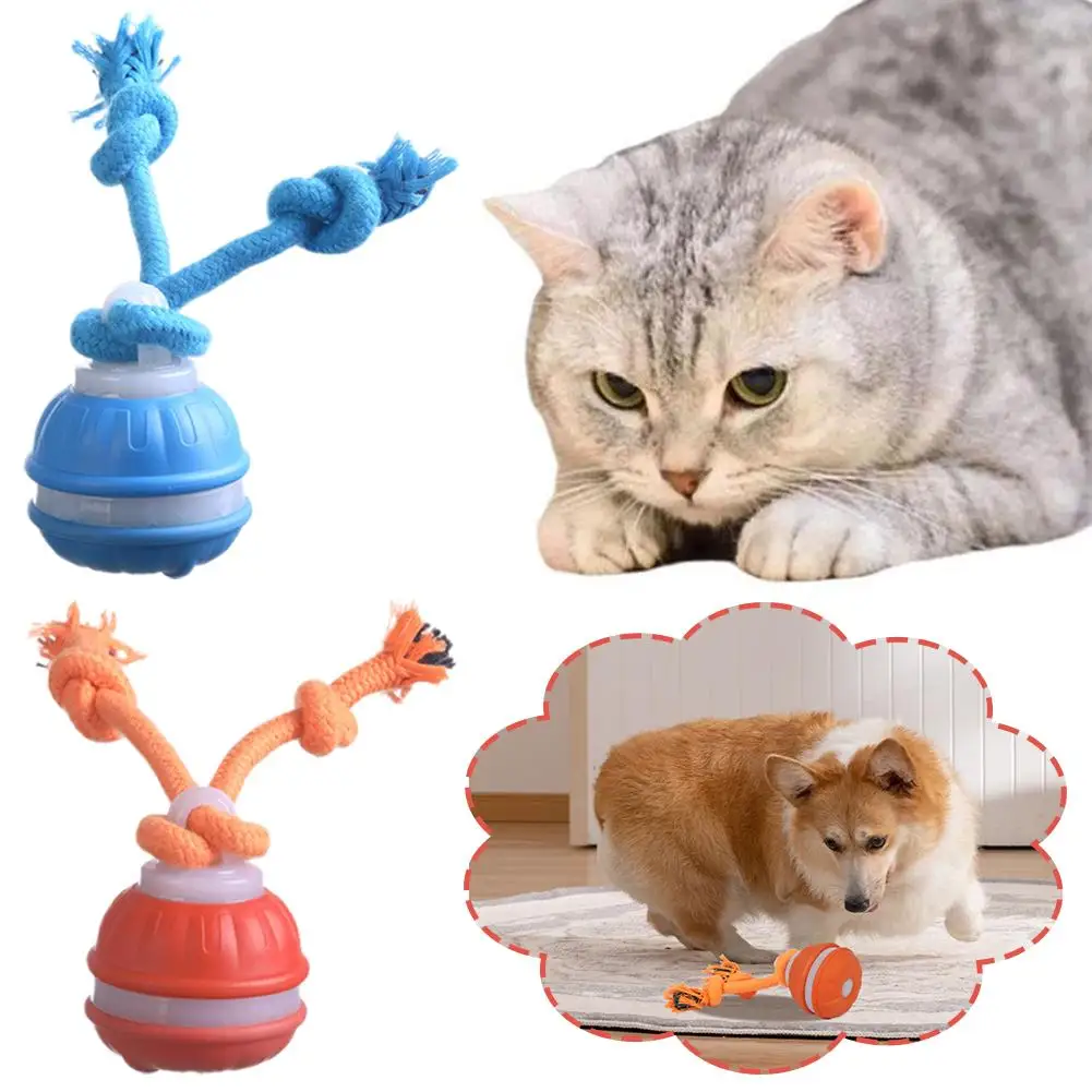 Pet Ball Interactive Toys for Dogs Motion Activate Rolling Ball for Puppy/Small Dogs Automatic 1005010572890049
