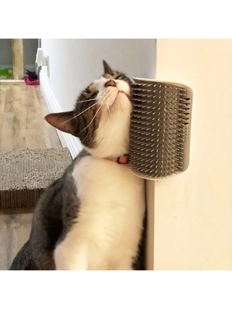 Wall-Mounted Cat Self Groomer with Massage Comb Brush (1pc) 1005010577685334