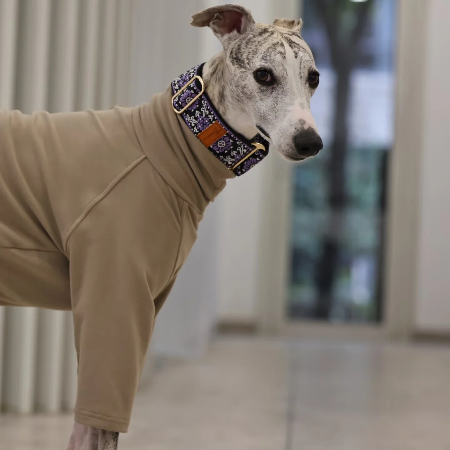Soft Comfortable Adjustable Collar for Mid Large Dogs in Winter Ethnic Characteristic Ornaments 1005010582590554