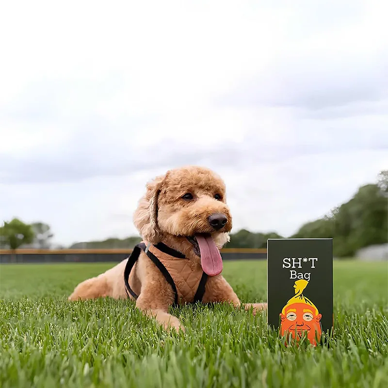 Portable Pet Waste Bag Dispenser Biodegradable Dog Poop Bags Holder for Cats Dogs Outdoor (60pcs) 1005010596760695