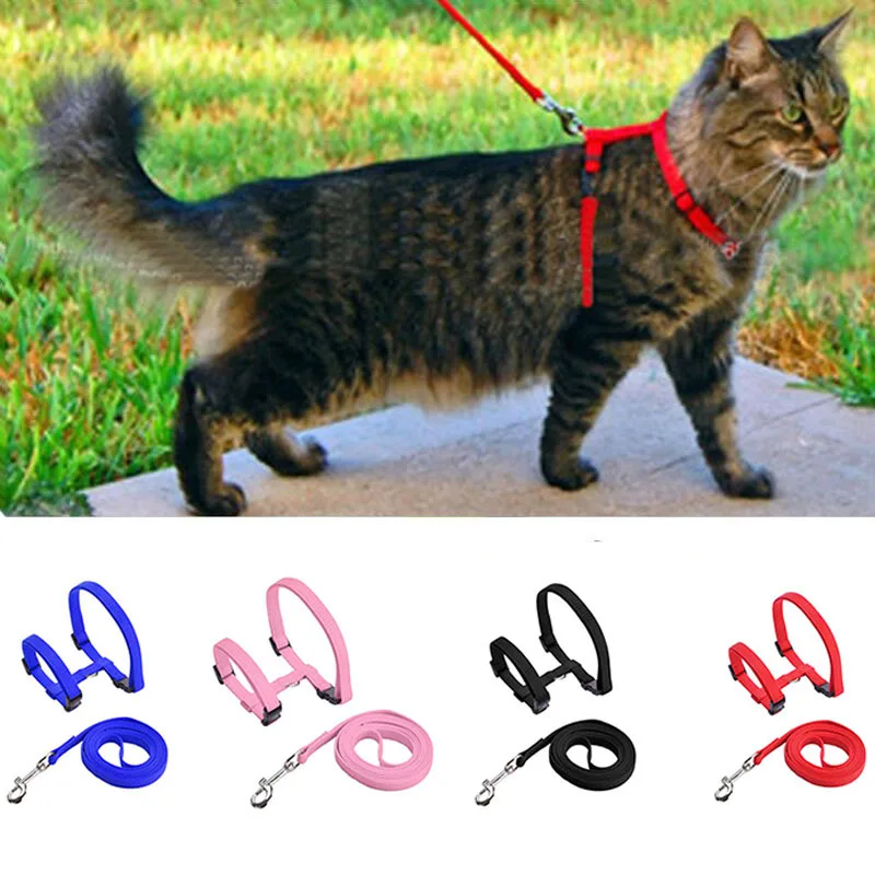 Adjustable Pet Cat Collar for Cats Cozy Nylon Rabbit Kitten Kedi Harness Leash Set Dog Cat 1005010599480455