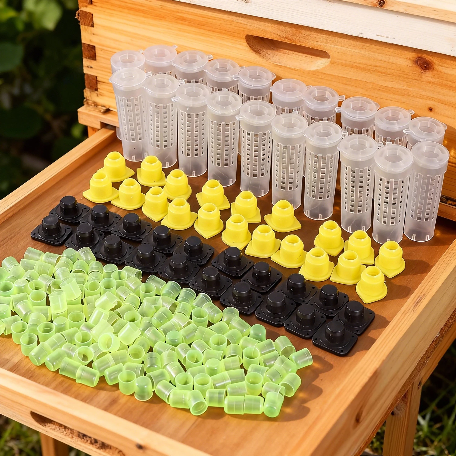 Queen Bee Cell Cage Beekeeping Transporting Bee Prisoner Egg-Laying Cup Artificial Queen 1005010623120844