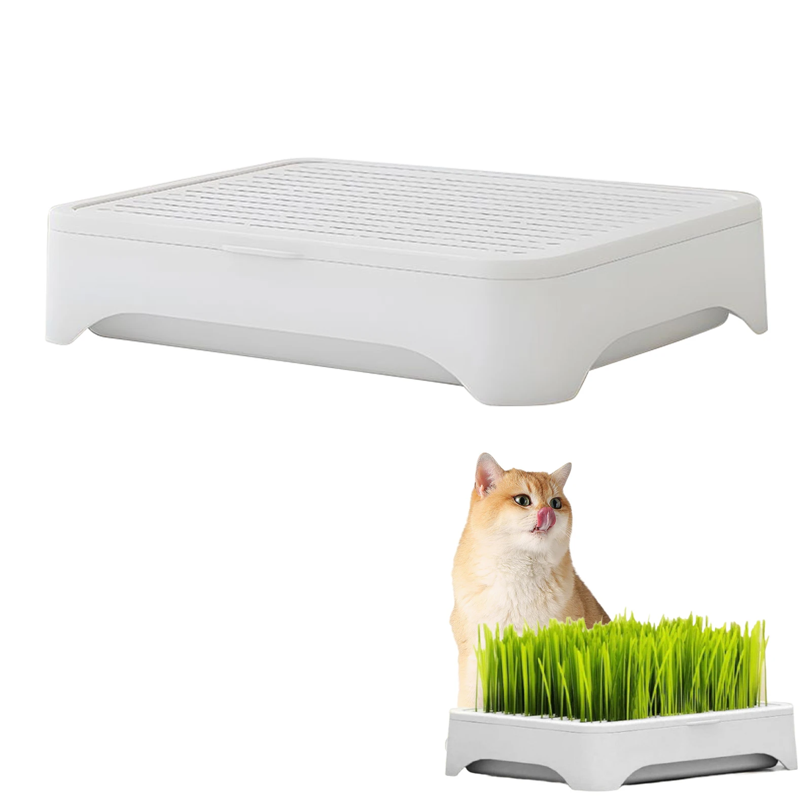 Cat Grass Growing Kit Hydroponic Pet Grass Planter Box Plastic Planting Box with Soil-Free 1005010644312990