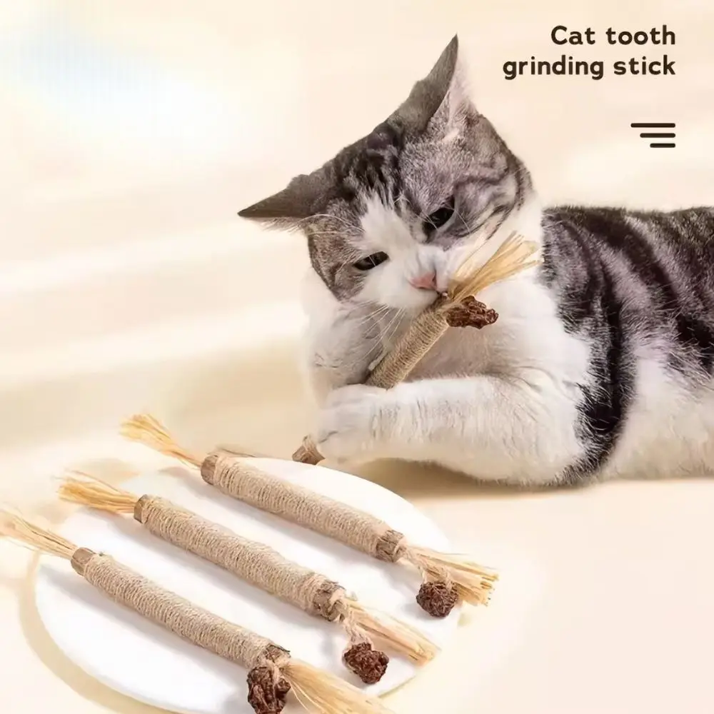 Cat Silver Vine Teeth Grinding Rod Natural Catnip Cat Toy Dental Care Wood Toy for Cat Bite 1005010649230241