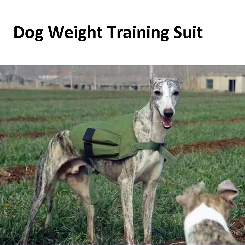 Dog Weight-Bearing Suit Dog Racing Bully Pitbull Greyhound Training Vest Enhance Dog Endurance 1005010778516473