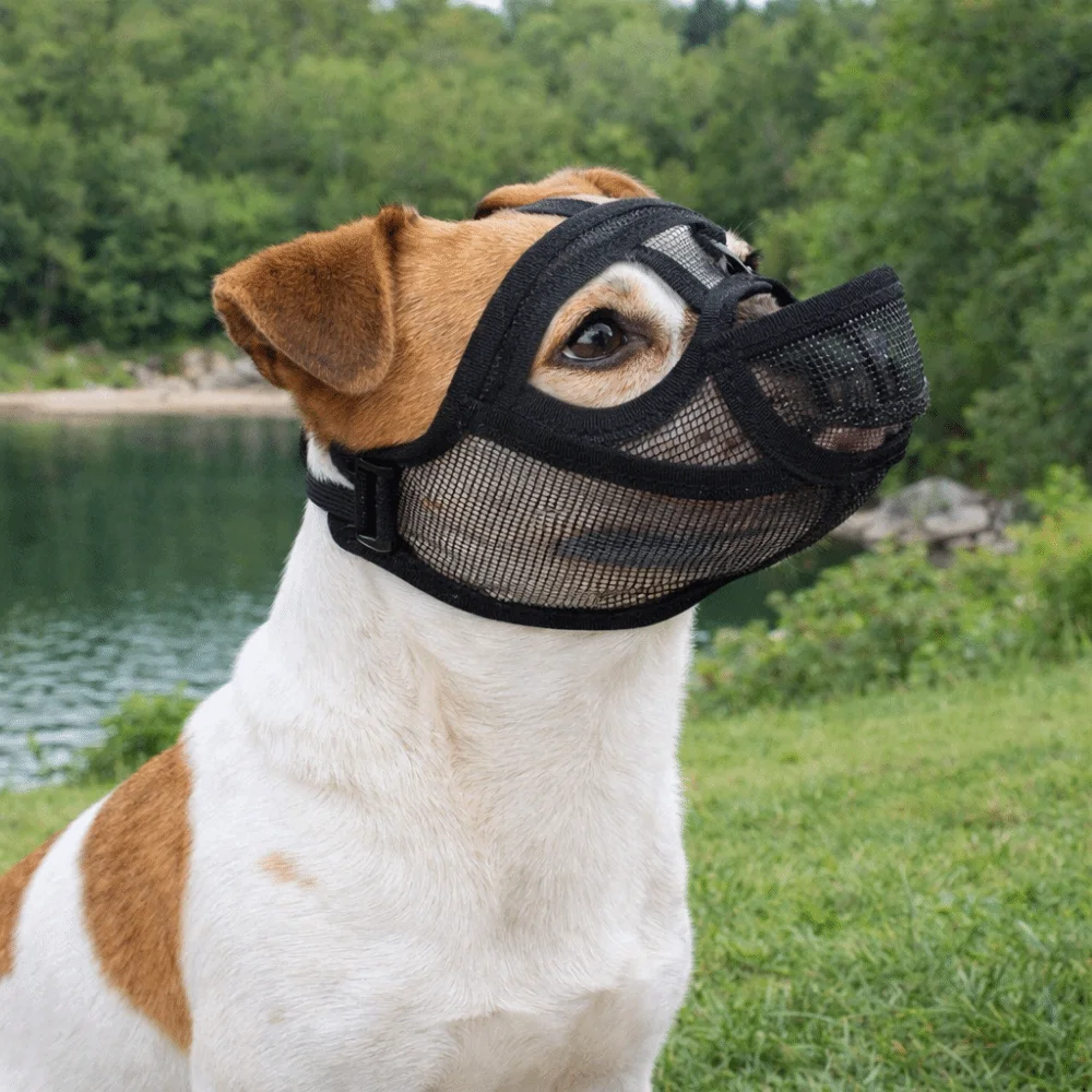 Universal Mesh Dog Muzzle Adjustable Drinkable Anti-Biting Anti-Eating Breathable Pet Mask Outdoor 1005010781269198