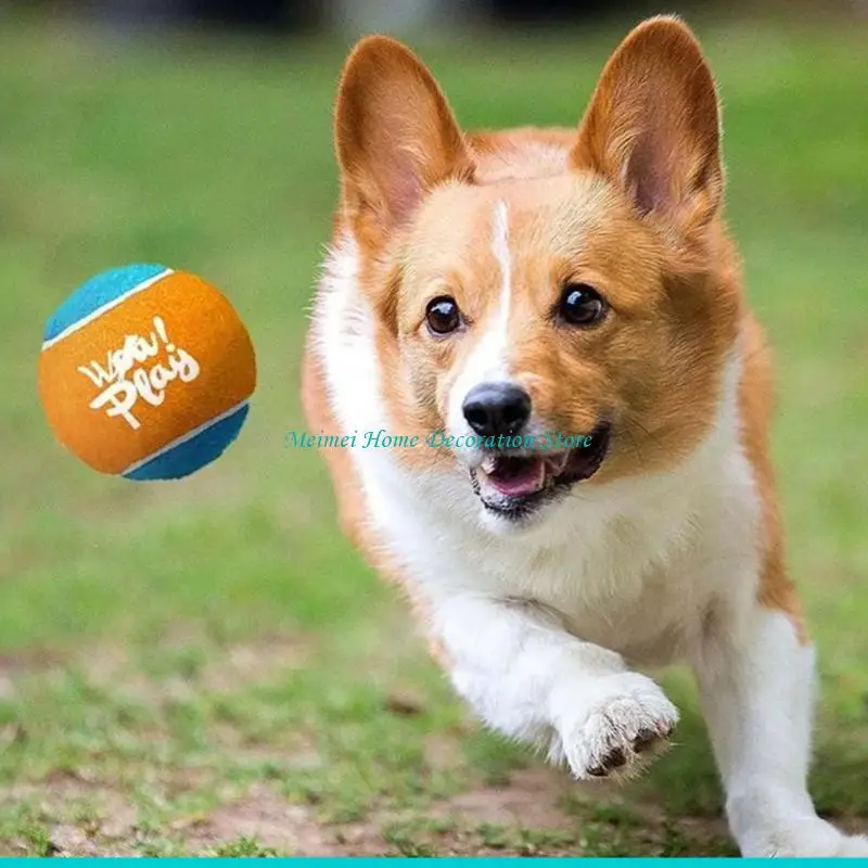 H7BF Dog Playtimes Ball Thrower with Extended Throw Capability Puppies Toy Ergonomic Handle 1005011529794648