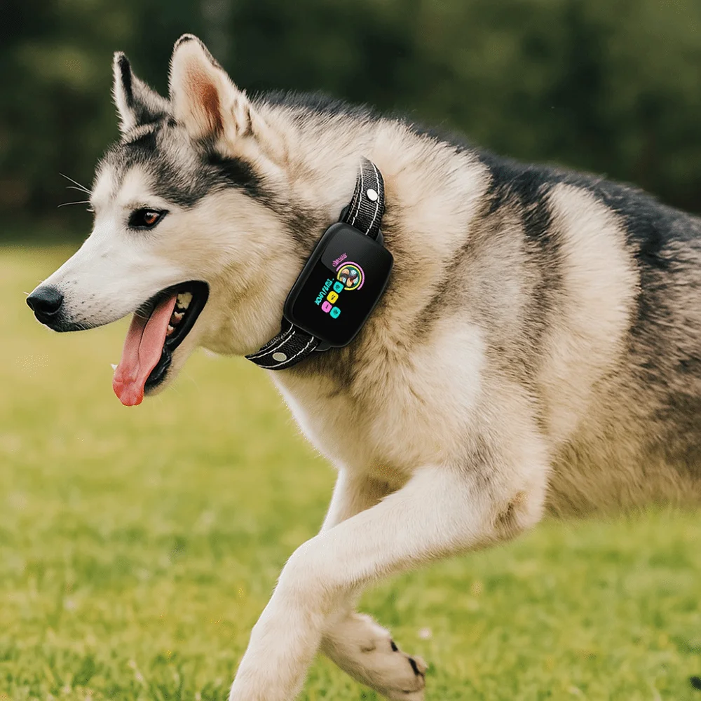 Intelligent Dog Barking Collar Type-C Rechargeable Color Screen Anti Bark Shock Functions Waterproof 1005011671544451