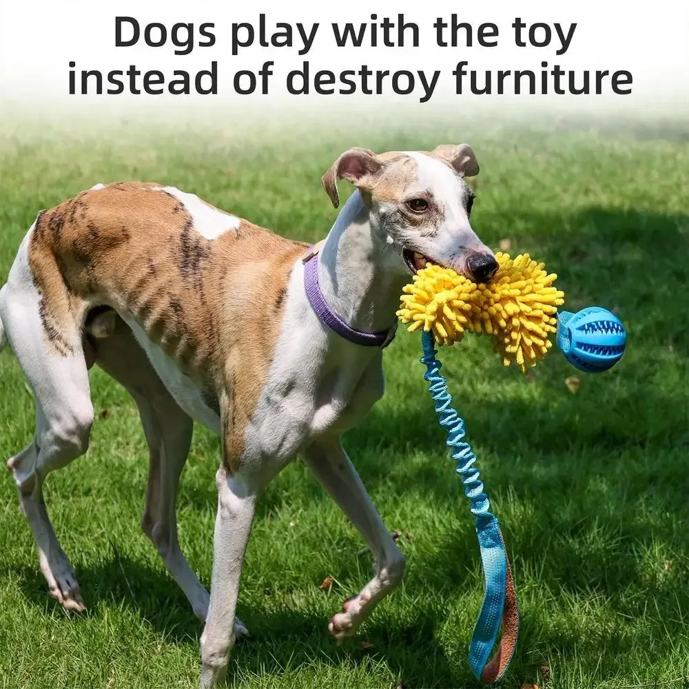 Dog Chew Rope Colorful Dog Tug Toy Plush Elastic Drawstring Pet Chew Toy Squeaky Grind Teeth Toy 1005011678733675