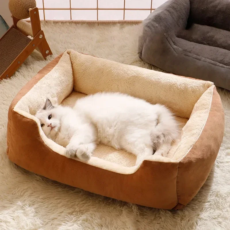 Cats Bed Dog Mat Beds Goods Pet Puppy Accessories All Products Kitten Cushions Things Accessory 1005011728924159
