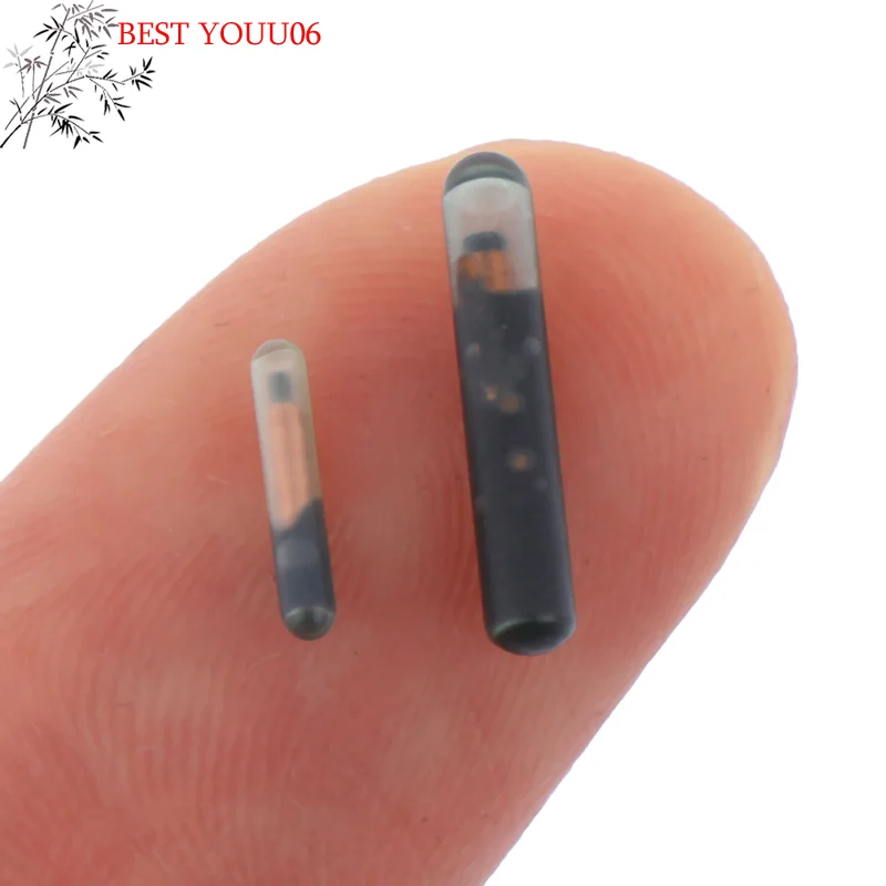 YOUU06 134.2KHZ Microchip Animal RFID Tag with EM4305 Chip ISO11784/5 FDX-B for Fish Dog Cat 1005011751152155