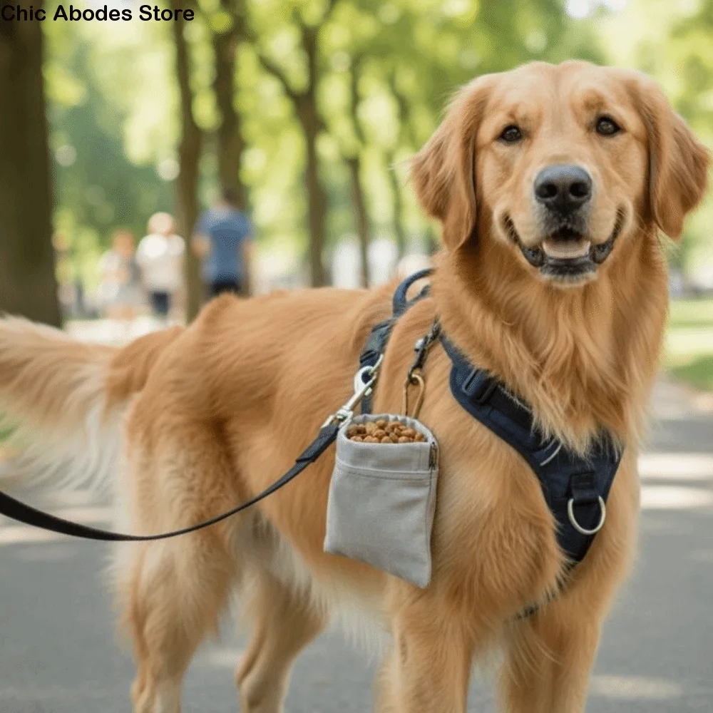 With Carabiner Dog Training Snack Bag Oil-Resistant Stain-Resistant Treat Pouch Water-Resistant 1005011752012547