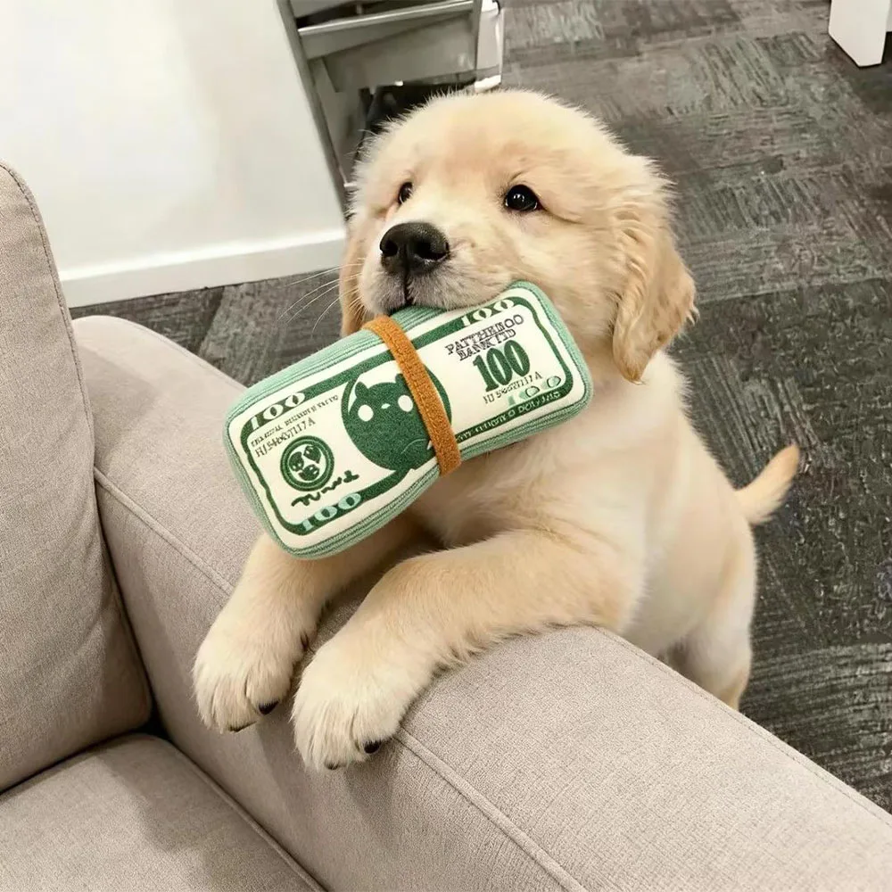 Dog Toy Money Shape Bite Resistant Indestructible Squeaky Toy Sound Interactive Self-Play for Dog 1005011757453593