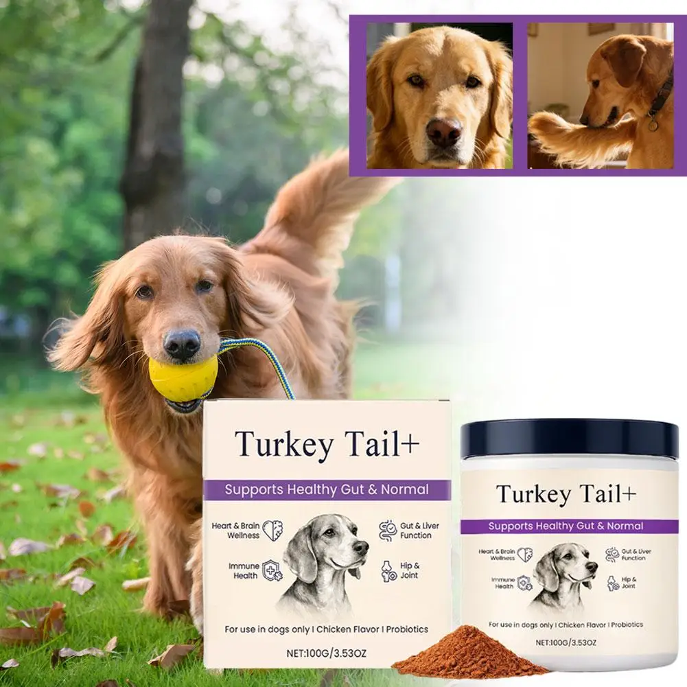 Dog Probiotic Intestinal Powder 100g Delicious Bacon Flavor Gut Flora Balance Digestive Support 1005011759756014