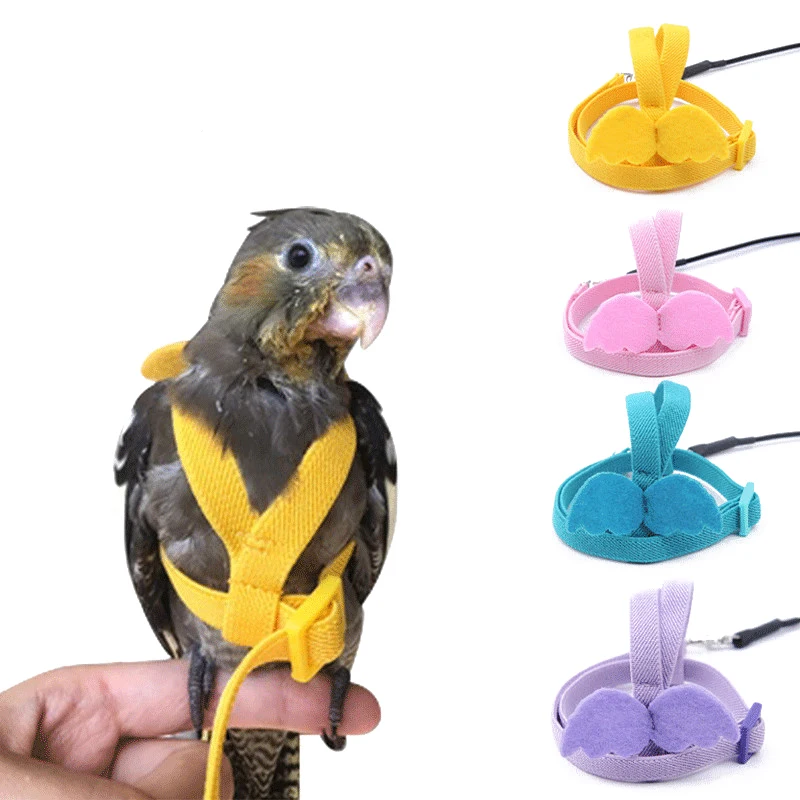 Parrot Flying Harness Leash Suit Pet Bird Outdoor Flight Training Rope Cockatiel Supplies Macaw 1005011773007491