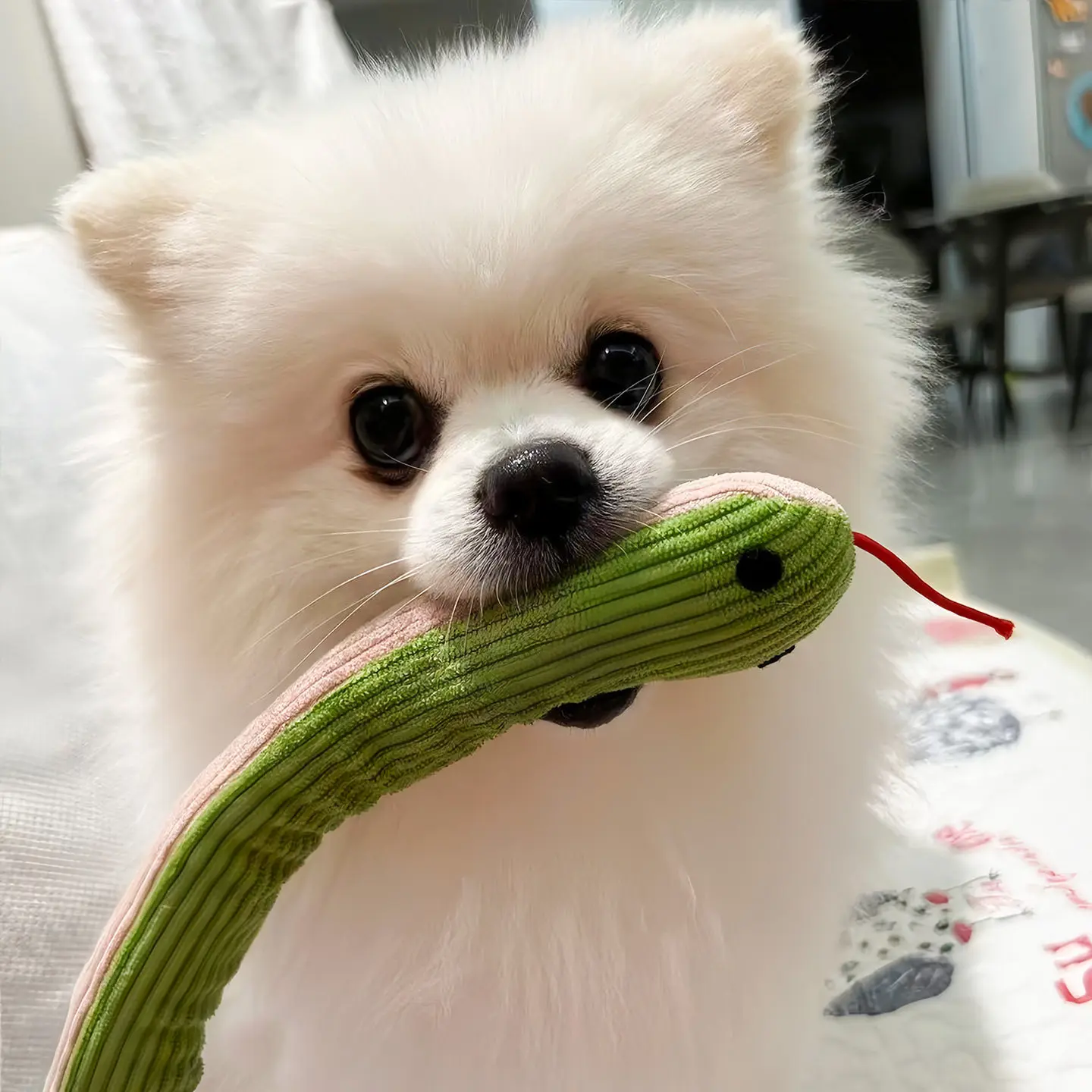 Cute Snake Dog Toy Squeaky Plush Puppy Teething Chew Toy 1005011824042474