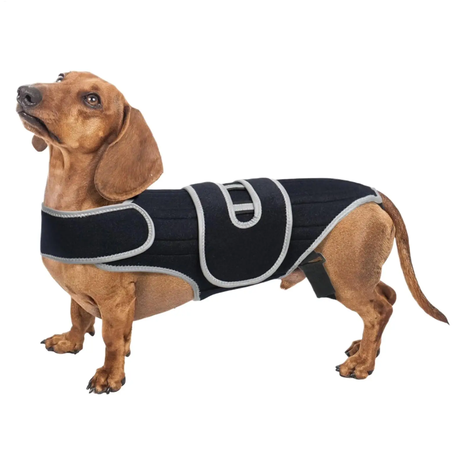 Dog Back Brace Adjustable Spinal Stability Vest Small Support Harness for Stair Step Walking 1005011830955478