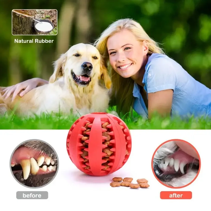 Dog Toy Ball Interactive Rubber Balls Puppy Chewing Toys Pet Tooth Cleaning Cats Pets Food Treat 1005011843615478