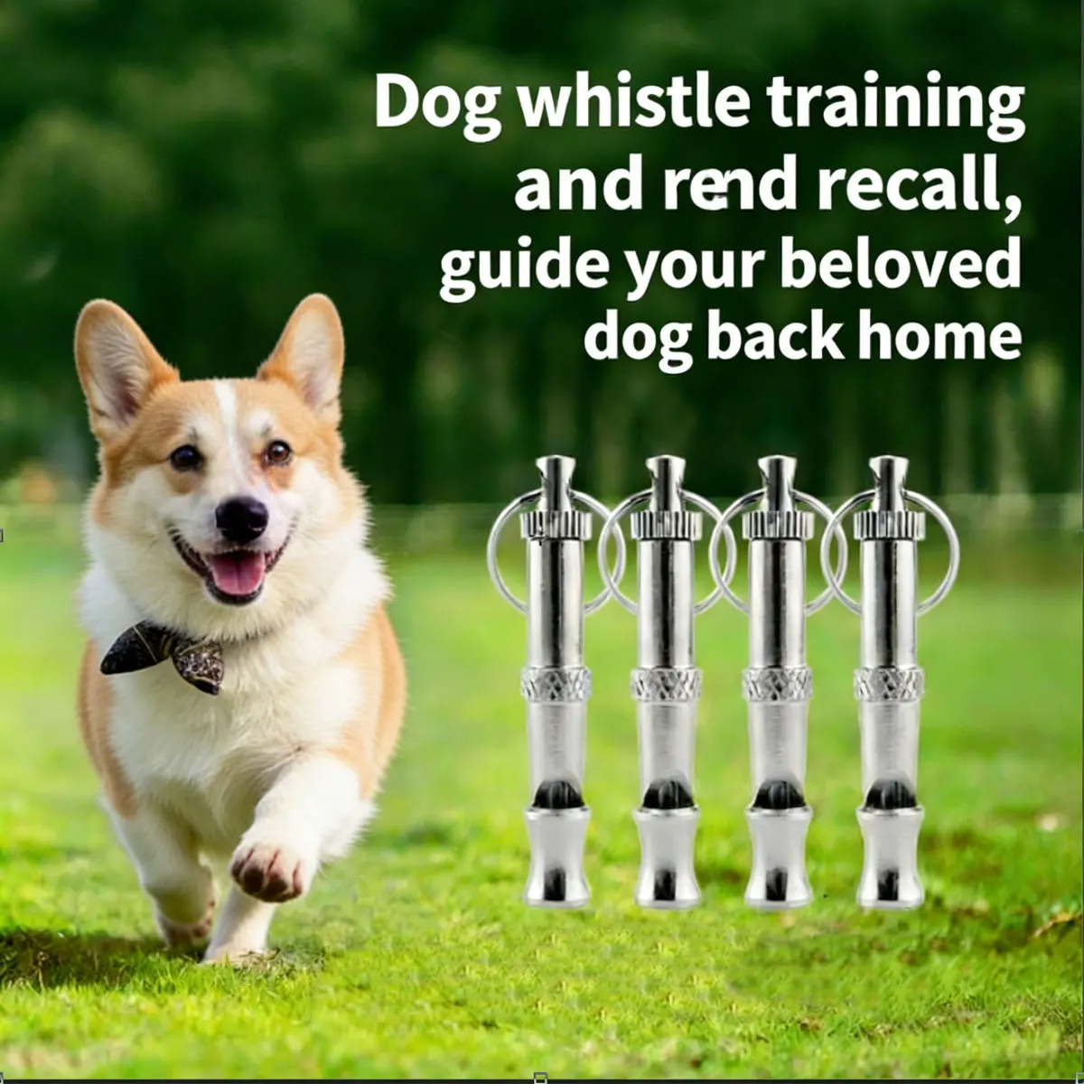 Pet Dog Whistle Adjustable Volume Ultrasonic Whistle Portable Used for Pet Training Behavior (1 Pc) 1005011858363527