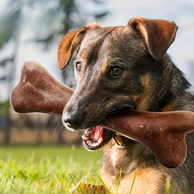 Dog Durable Beef Flavored Chew Toy, Bone Shaped Dog Interactive Play Toy 1005011859943197