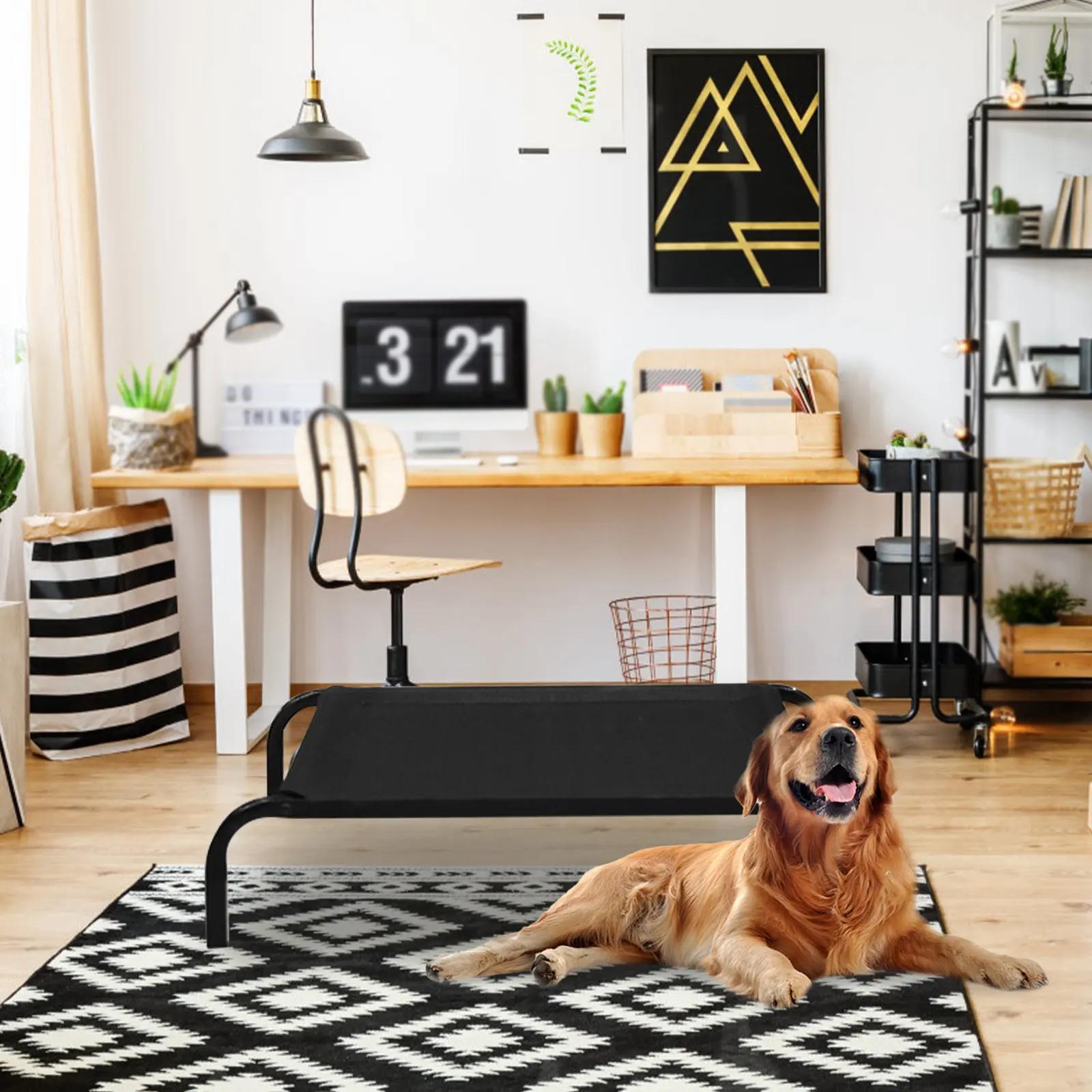 Elevated Dog Bed Portable Folding Pet Hammock Breathable Cat Sleeping Detachable Washable Four 1005011862741966