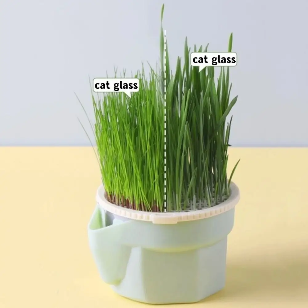 Hydroponic Cat Grass Box Planter Reusable Hierarchical Design Microgreens Growing Kit 1005011866491178
