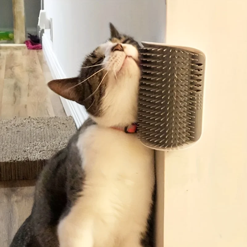 Cat Self Groomer with Massage Comb Brush 1005011867031259