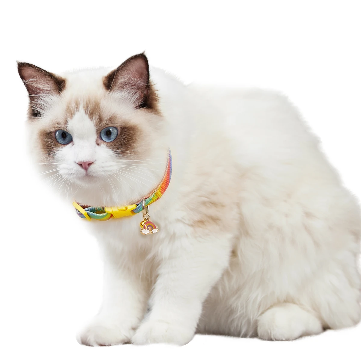 Charm and Bell Collar Colorful Graffiti Printing Pet Collar Adjustable New Design Fashion Cat 1005011888605107