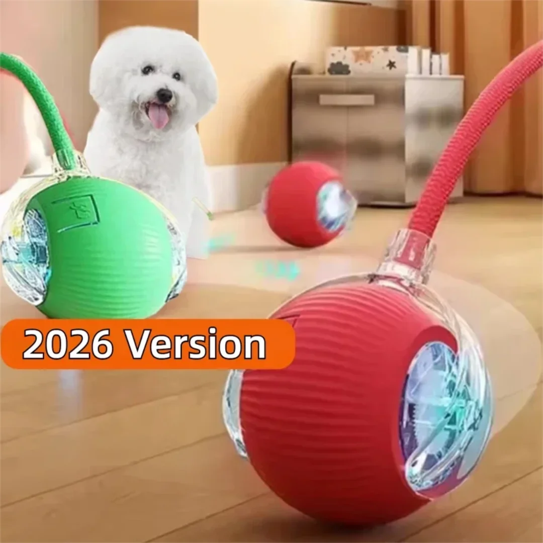 New Dog Interactive Ball Toy, Automatic Rolling Dog Ball Rechargeable, Smart Puppy Interactive Toy 1005011897624863